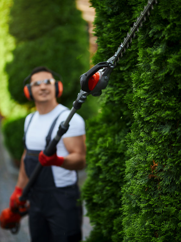 Motoculture touloise