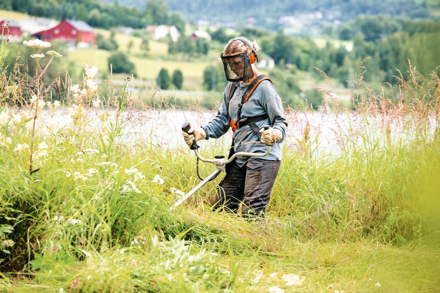 Débroussailleuse thermique STIHL FS 240 – Image 2
