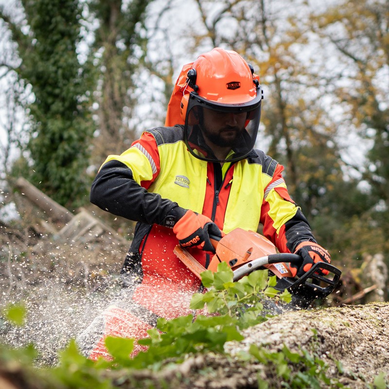 Casque forestier complet - Solidur – Image 5
